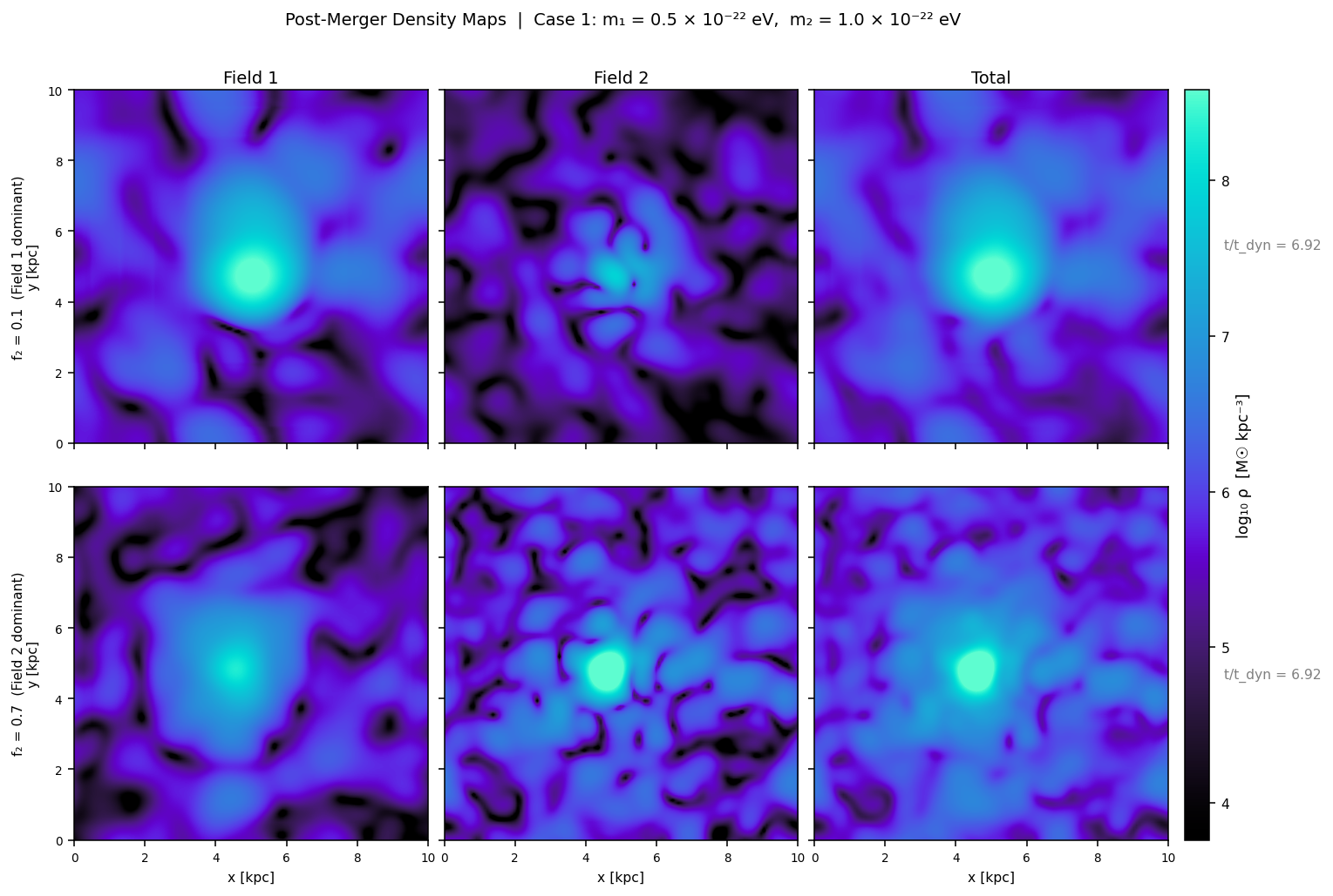Post-merger density maps from two-field fuzzy dark matter simulation